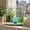 Blue-Free Size/BU, variant on Luminous Resin Aquarium Ornament Glow In Dark Tropical Seascape Fish Tank Decor Aquascaping Underwater Habitat Nautical Theme Decoration