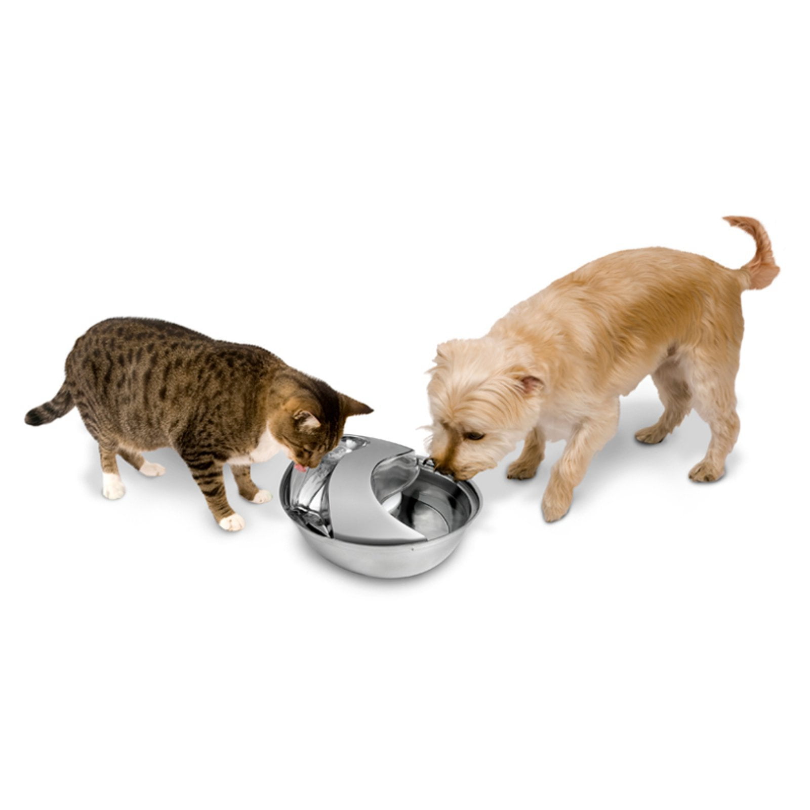 pioneer raindrop fountain