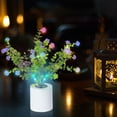 thumbnail image 3 of Hesxuno Mothers Day Gift - Birthday Gift/Holiday Gift-Small Wildflower Lamp Lights , Desk Lamp Led Simulation,Night Light With Vase,Table Lamp Ornaments For Home, 3 of 6