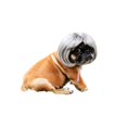 thumbnail image 2 of 7.5x5.9in Pet Cute Wig, Short Hair Dog Costume Accessory, Funny Dress-Up Hairpiece for Puppy Photo Prop Party Cosplay, 2 of 6