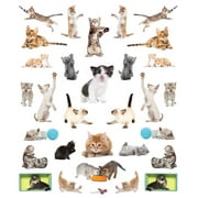 Workman Publishing Eyelike Sticker Series, Kittens