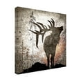thumbnail image 4 of LightBoxJournal 'Calling Elk' Canvas Art, 4 of 4