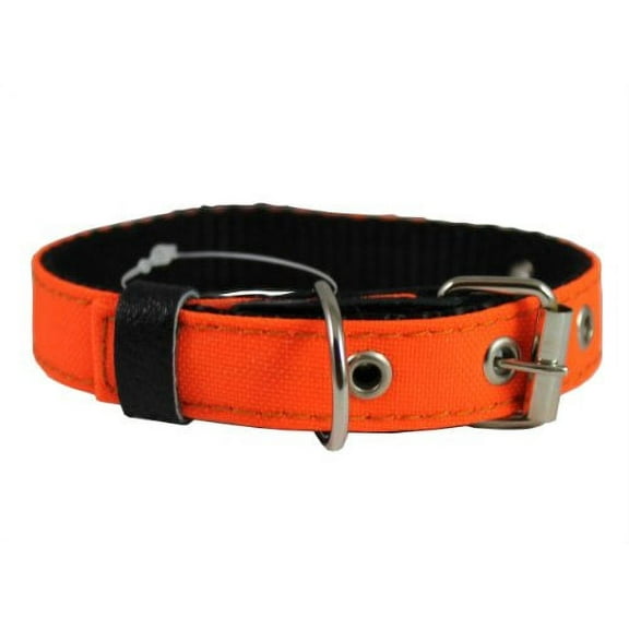 Double Thick Nylon Dog Collar Leather Enforced Metal Buckle Sized to Fit 9.5"-13" Neck, 3/4" Wide.