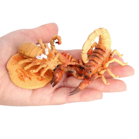 pieza de 4 juguetes educativos aprendizaje del bebé de natural, de juguete realistas - Yotijar Juego de crecimiento de insectos para niños