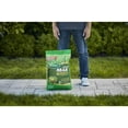 thumbnail image 2 of Scotts Green Max Lawn Food Fertilizer, 2 of 4