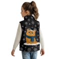 thumbnail image 3 of Pzuqiu Cat Boys Sleeveless Vests 9-10 Polyester Comfortable Zipper Winter Sleeveless Jacket with Pockets Warm Practical Fall Outfits Fashion Clothing for Teens Girls Boys Kids, 3 of 7