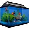 Aqua Culture Glass Home Starter Kit, 10 gallon, 1 Count