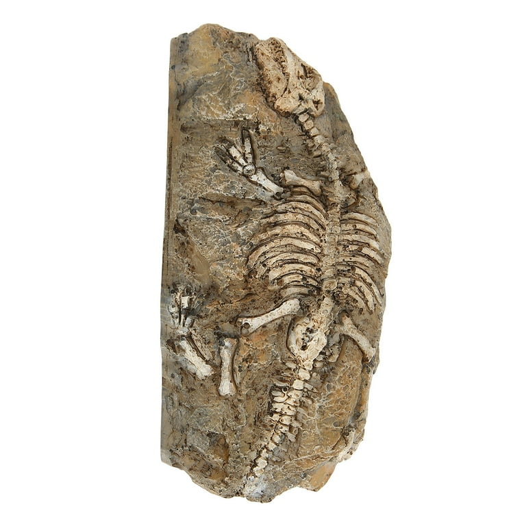 Aquarium Dinosaur Fossil Decoration - Resin Hideout, 6.5x3.1 Inch, For Fish Tanks & Reptiles