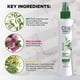 thumbnail image 4 of Spray capilar CHI Powerplus Root Booster, espesante, 180 ml, 4 of 5