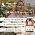thumbnail image 2 of Artery Plaque Removal & Circulation Support – 4-Element Heart Health Supplement for Healthy Cholesterol – 1 Month Supply – by Sana Herbal & Dr. Marco Sikaffy, 2 of 8