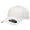 White, variant on Flexfit Men's 110 Mesh Cap, White, One Size