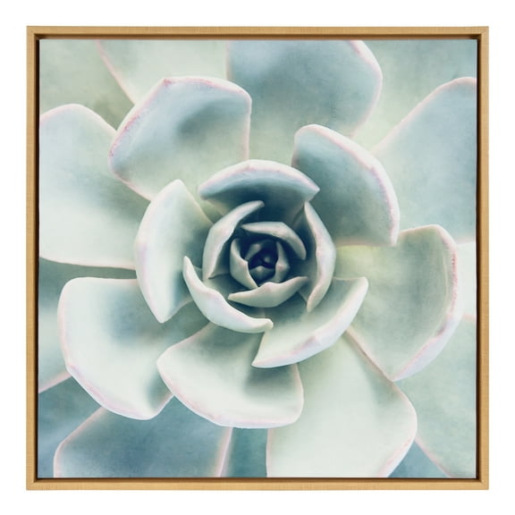 Kate and Laurel Sylvie Botanical, Succulent 7, Color Photograph, Framed Canvas Square Wall Art by F2 Images, 30x30 Natural