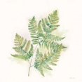 thumbnail image 2 of Modern Ferns I Poster Print by Cynthia Coulter, 2 of 2