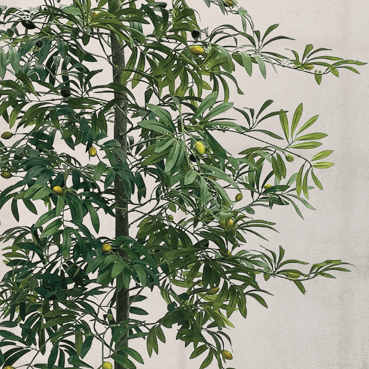 Artificial Tree, LCG Florals 6ft Olive Tree in Deco Basket, Fake Indoor Faux Tree for Living Room, Office, and Home Decor