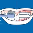 thumbnail image 3 of Curaprox Extra Soft Toothbrush for Adults and Children - Plaque Remover for Teeth & Gums - 3PK, 3 of 5