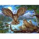 thumbnail image 1 of 30x40 Cm 5d Peinture Diamant Diy Complet,peinture De Diamant De Hibou Diy Diamond Strass Toile Point De Croix Painting Par Numro Pour Dcoration M, 1 of 5