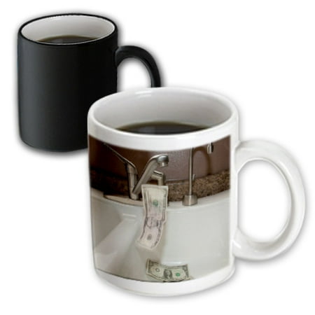 Irish Porcelain Kitchen - 3dRose A White Porcelain Kitchen Sink with a Five and Two One Dollar Bills Falling into it Down the Drain , Magic Transforming Mug, 11oz
