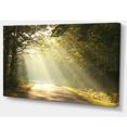 thumbnail image 2 of Bright Sunbeams to Fall Forest, 2 of 3
