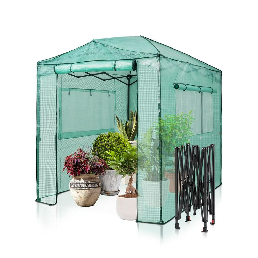 EAGLE PEAK 8'x6' Portable Walkin Greenhouse Instant Popup Fast Setup