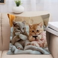 thumbnail image 5 of DefiDgd Vintage Cute Animals Throw Pillow Covers,Farmhouse Decorative Pillows Covers for Animal Lovers,Sofa Bedroom Living Room Home Decoration(R), 5 of 6