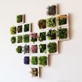 thumbnail image 3 of Gwong Decoración hogareña 3D artificial flor planta etiqueta de pared marco sala de estar boda fiesta decoración Gwong 21038139, 3 of 6