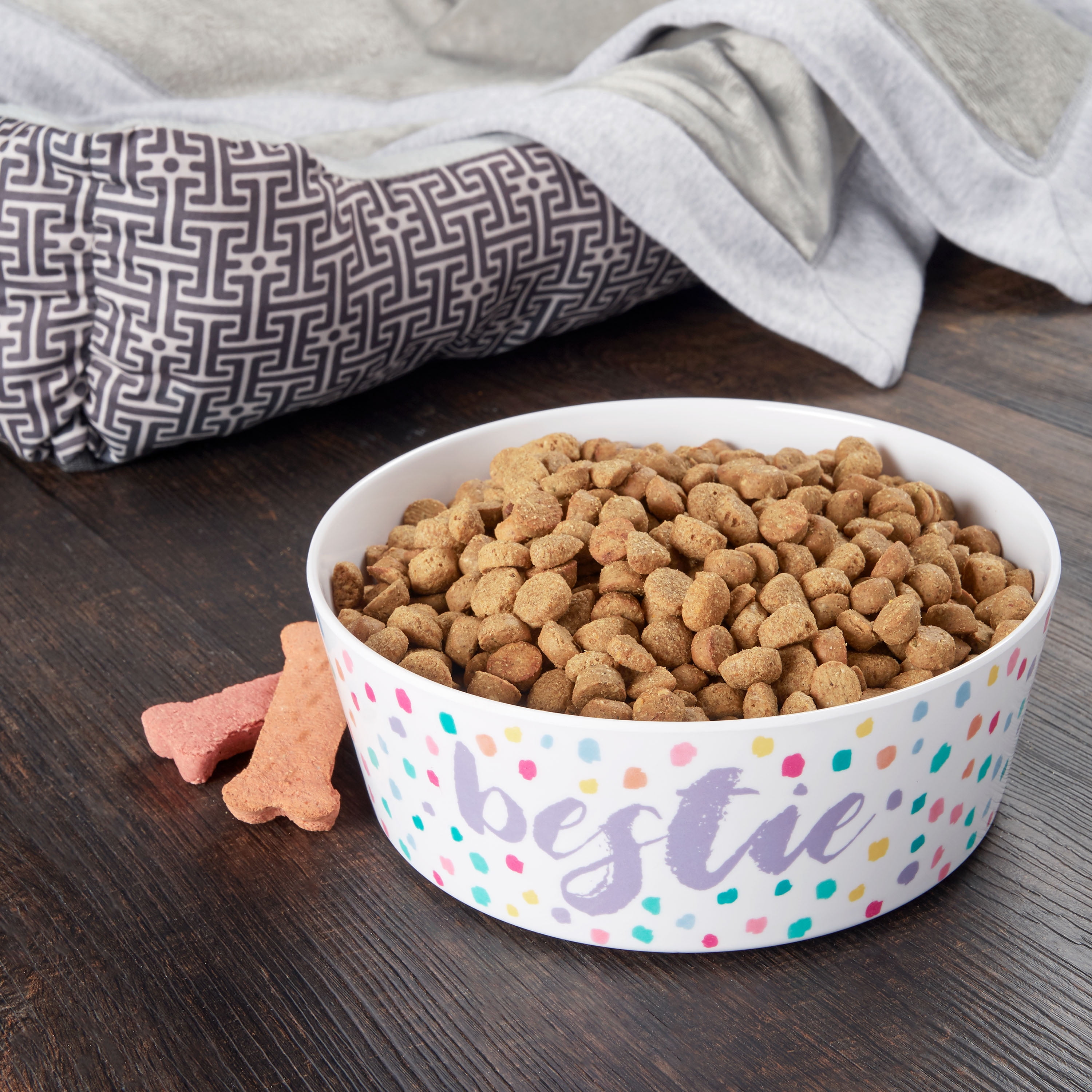 Vibrant Life Plastic Pet Bowl, Large