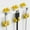 Yellow#1808, variant on Desktop Cable Organizer 6 Pack | Data Cable Management Clips for Desk | Multi-Color Plastic Wire Holders, Cord Clamps, Charging & Mouse Cable Buckles, Tidy Workspace Solution