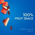 thumbnail image 3 of Bouchées Melon d’eau surette Fruit to Go SunRype, 8 x 14 g, 112.00 - 0.25 GR, 3 of 7