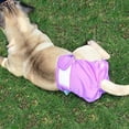 thumbnail image 3 of Washable Dog Diapers Durable Doggie Diapers, Premium Female Dog Diapers, 3 of 7