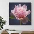 thumbnail image 2 of PixonSign Canvas Print Wall Art Crisp Detailed Pink Water Lily Floral Plants Photography Realism Glam Closeup Colorful Multicolor Ultra for Living Room, Bedroom, Office - 16"x16", 2 of 5