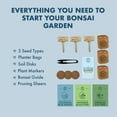 thumbnail image 3 of Garden Republic Bonsai Tree Kit, All-in-One Indoor Grow Kit, 3 of 7