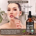 thumbnail image 4 of Aceite esencial de clavo orgánico Fiora Naturals 30 ml para dientes, 4 of 8