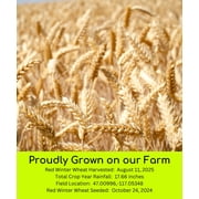 Certified Glyphosate Residue Free Hard Red Winter Wheat Berries | 3 LBS | Family Farmed in Washington State | Non-GMO Project Verified