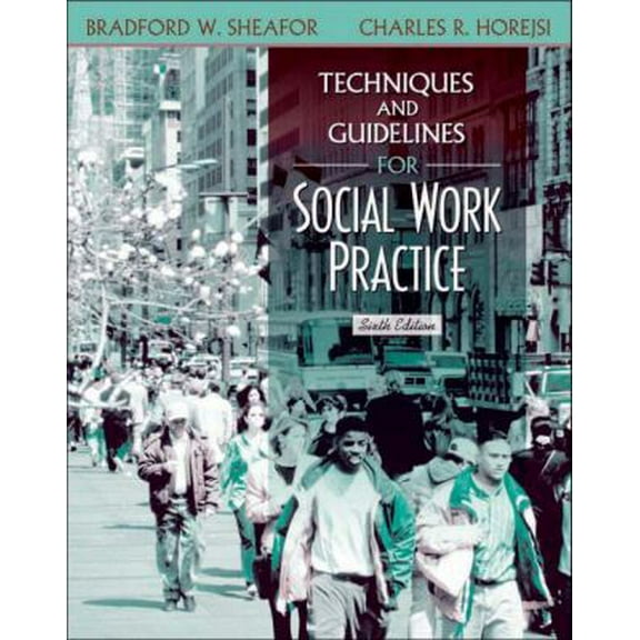 Pre-Owned Techniques and Guidelines for Social Work Practice (Hardcover) 0205352316 9780205352319
