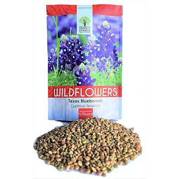 Texas Bluebonnet Wildflower Seeds - Bulk 1/4 Pound Bag - Over 4,000 Native Seeds - Texas State Flower!