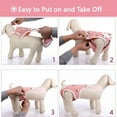 thumbnail image 3 of TELOLY Dog Diapers Female Washable Sanitary Pantie with Adjustable Suspender, Reusable Doggie Period Panties, Pet Underwear Diaper Jumpsuits for Male Dogs in Heat, Puppy Diapers for French Bulldog M, 3 of 7