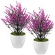 thumbnail image 1 of BESTYASH 2Ud Bonsai Decorativo Artificial Violeta Sin Mantenimiento Para Hogar Y Oficina, 1 of 2