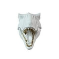 thumbnail image 5 of Dinosaur Head Sculpture White Color Wall Mounted Ornament, 5 of 5