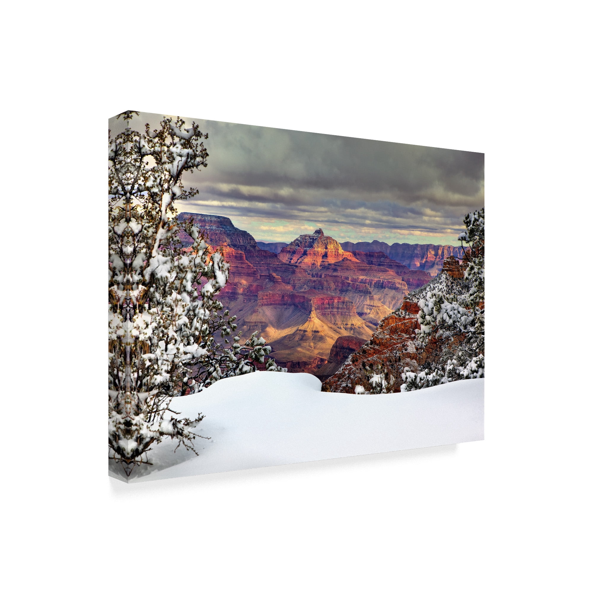 Trademark Fine Art 'Snowy Grand Canyon I' Canvas Art by David Drost