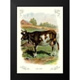 thumbnail image 2 of Unknown 14x18 Black Modern Framed Museum Art Print Titled - The Cow, 1900, 2 of 5
