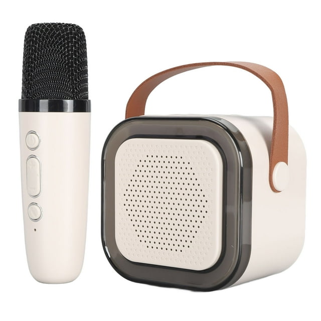 Portable Karaoke Machine for Kids Adults, Mini BT Powerful Sound Karaoke Speaker with Microphone, Small Speaker with LED Lights for Family, Home, Party