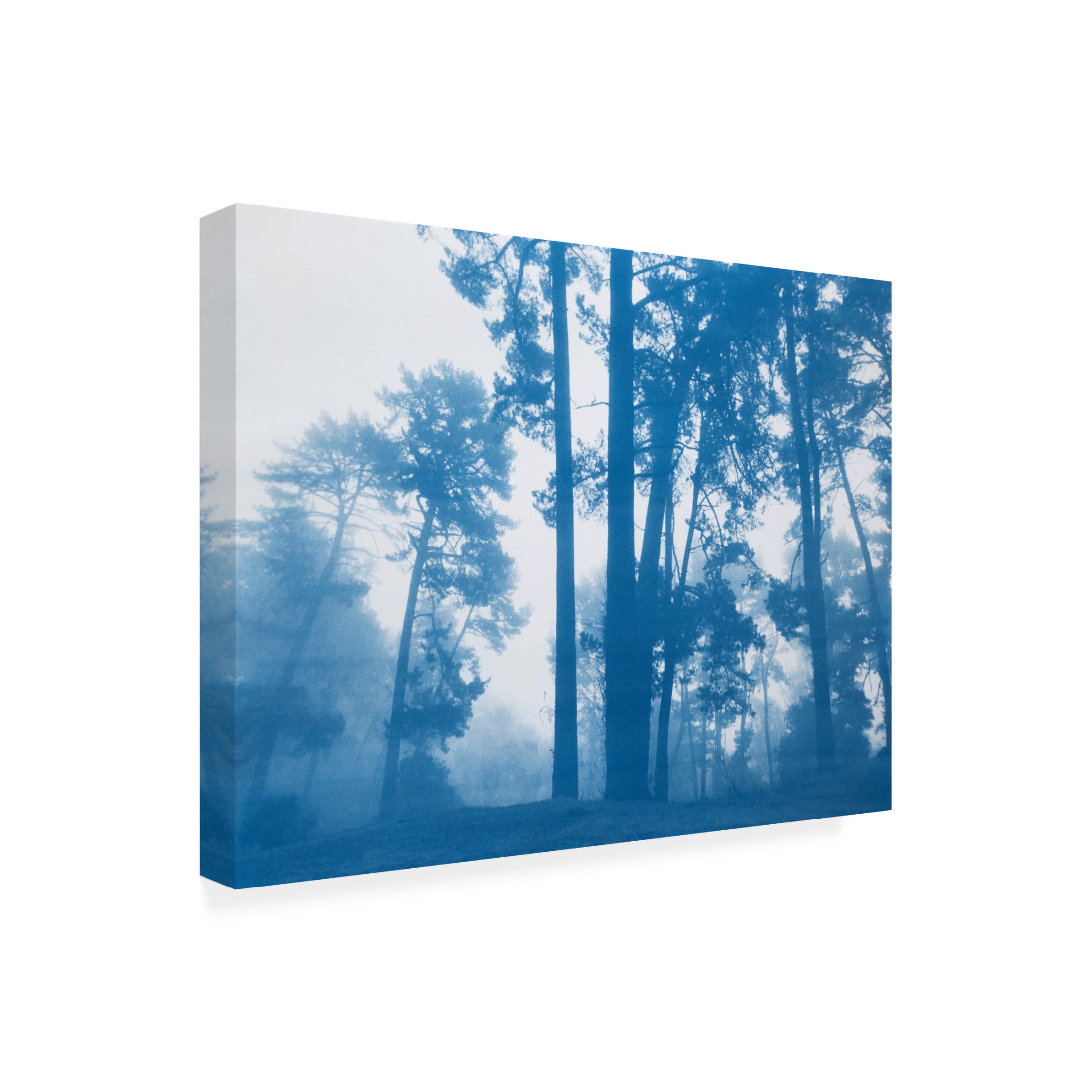 Canvas Wall Art - Christine So 'Morning Valley Light' Wall Art for Living Room, Bedroom, or Office Décor by Trademark Fine Art - 24 x 18 Inches