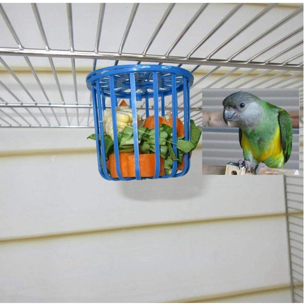 Jaula para pájaros bonita, alimentador de loros, accesorios para frutas, jaula, soporte para vegetales, cesta colgante, contenedor, juguetes para mascotas y pájaros, 1 ud. oso de fresa Electrónica
