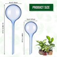 thumbnail image 2 of SICED 10 Pcs Boules Auto-Arrosantes Bulbes pour Plantes Boules d'Arrosage Boules Auto-Arrosantes, 2 of 3