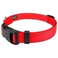 thumbnail image 3 of Country Brook Petz® Deluxe Blaze Orange Reflective Nylon Dog Collar & Leash - Small, 3 of 6