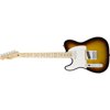 Fender Standard 0145122532 Electric Guitar