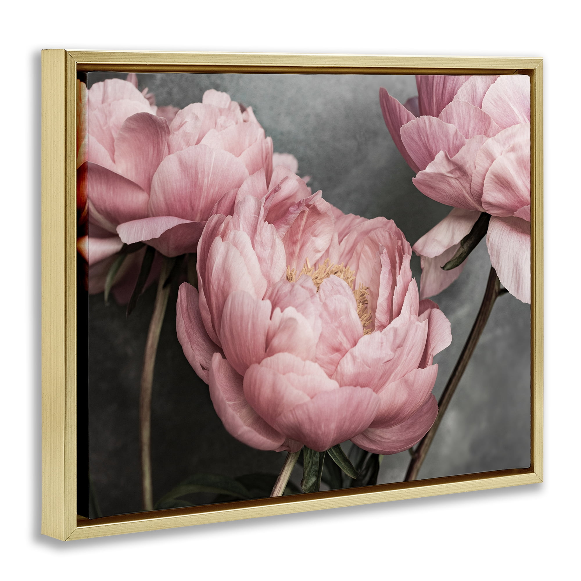Stupell Industries Pink Peonies Trio Plants & Flowers Painting Gold Floater Framed Canvas Art Print Wall Art, 21 x 17