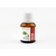 thumbnail image 1 of ACEITE ESCENCIAL DE SALVIA, 100% ORGÁNICO Natshop ACEITE ESCENCIAL DE SALVIA, 100% ORGÁNICO, 1 of 3