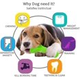 thumbnail image 4 of Juguete para perros Yashi hueso indestructible para masticar para cachorros unidad, 4 of 4