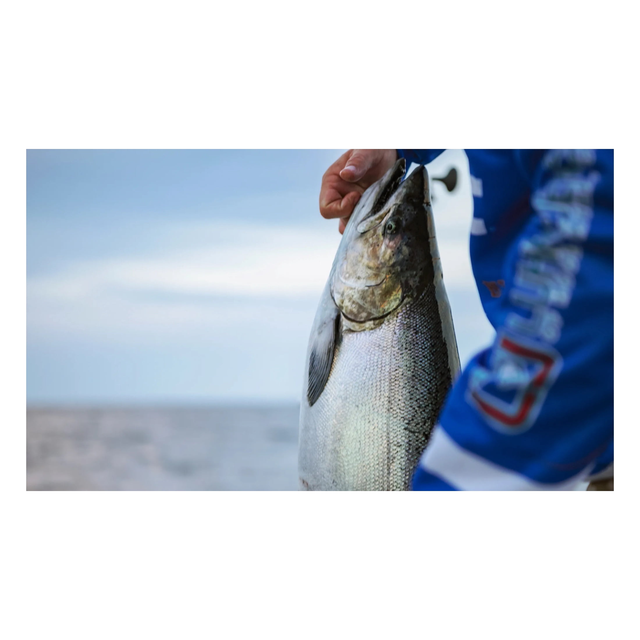 Luhr Jensen Krocodile 1/4oz Rainbow Trout